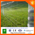 Galvanized Steel field fence cow wire fence sheep wire fence T posts